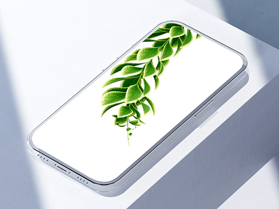 Fló – Splash Screen Animation 3d 3d animation 3d branding 3d motion animation app intro app splash screen branding intro onboarding onboarding for app splash splash animation splash for app splash screen ui