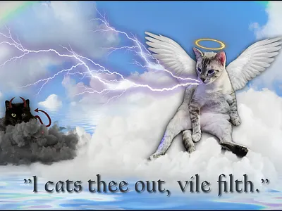 Good vs Evil Cats branding cats clouds design fun graphic design kylie earls kylie mcferrin logo photography poster ui ux