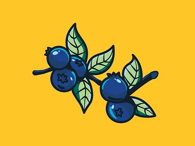 Blueberries blue blueberries blueberry branding design illustration logo vector