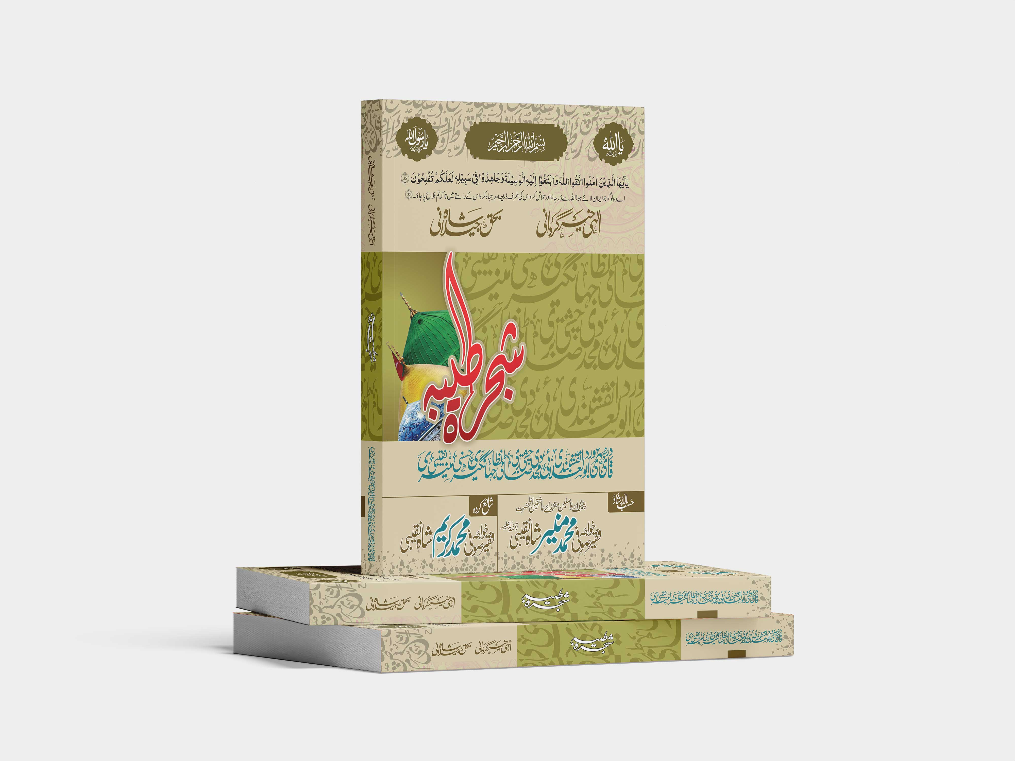 Book Desing art book book cover book design branding design graphic design illustration logo typography ui ux vector