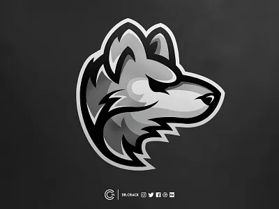 IDM Crack Download animation graphic design logo