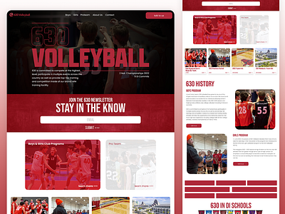 630 Volleyball Website UI branding design digital design graphic design sports sports website ui volleyball website website disign website ui