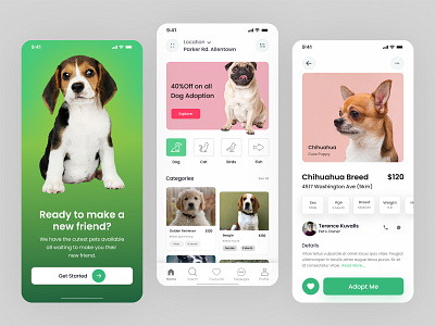 Pet Design Concept cat dog pet pet adoption pet food