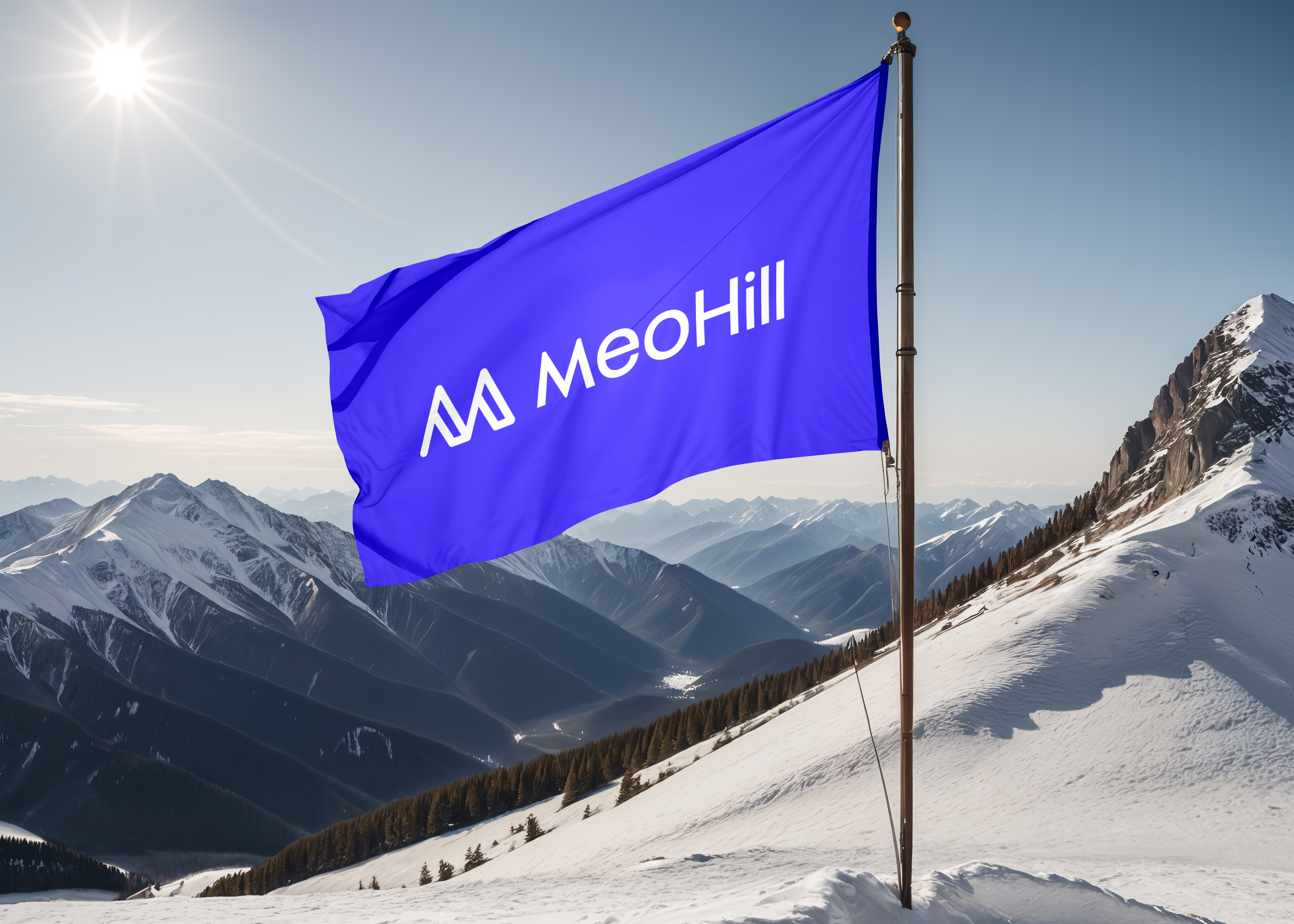 MeoHill Logo & Branding branding business graphic design logo logo design