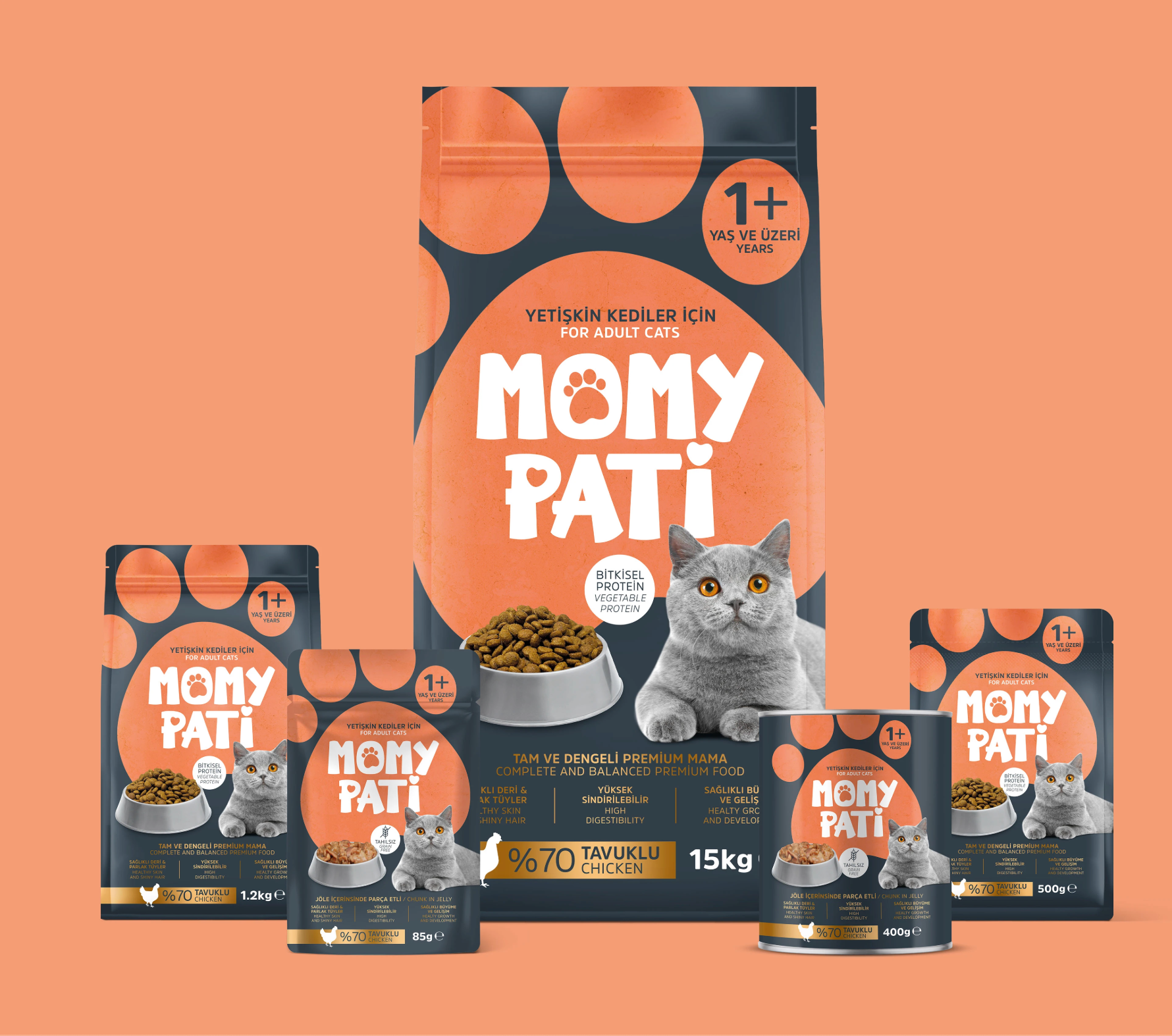 Example of 2 D Packaging Mockup