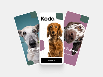 Koda: The Dog Everything Mobile App app branding dog app koda mobile app pet app product design ui user experience user interface ux