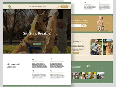 PetCare Website Design landing page animal shelter animals health care dog health home page landing page medicine pet care pet care website design pet sitter recrafted designs squarespace vet care vet platform web web design website design wix wordpress