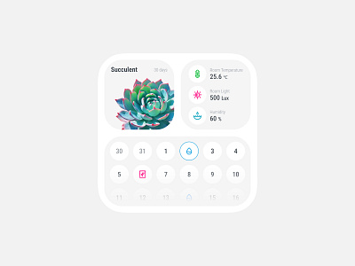 Succulent Growth Diary badges card design diary icon illustrations succulent ui widget