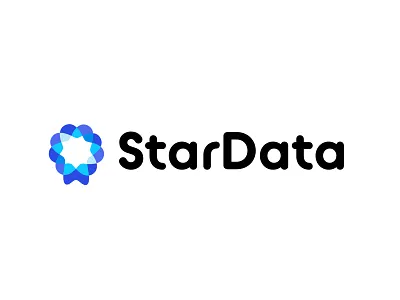 StarData badge bold branding data design geometric logo logodesign modern star