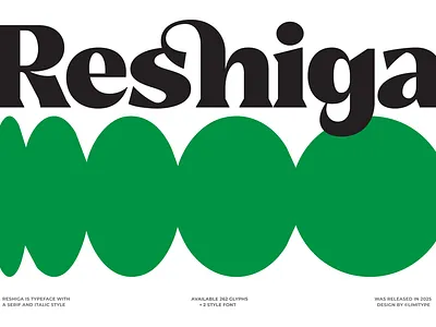 Reshiga - Serif Font print font