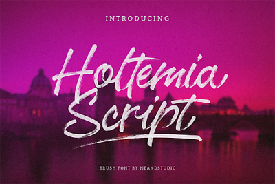 Holtemia Script – Modern Brush Script Font brush lettering