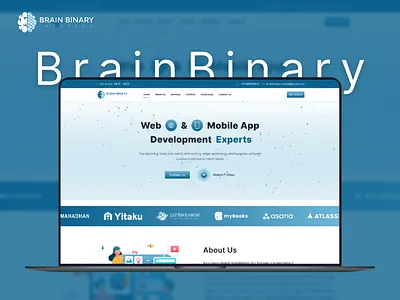 BrainBinary Infotech - IT Services Company brainbinaryinfotech itcompany softwaredevelopment ui design