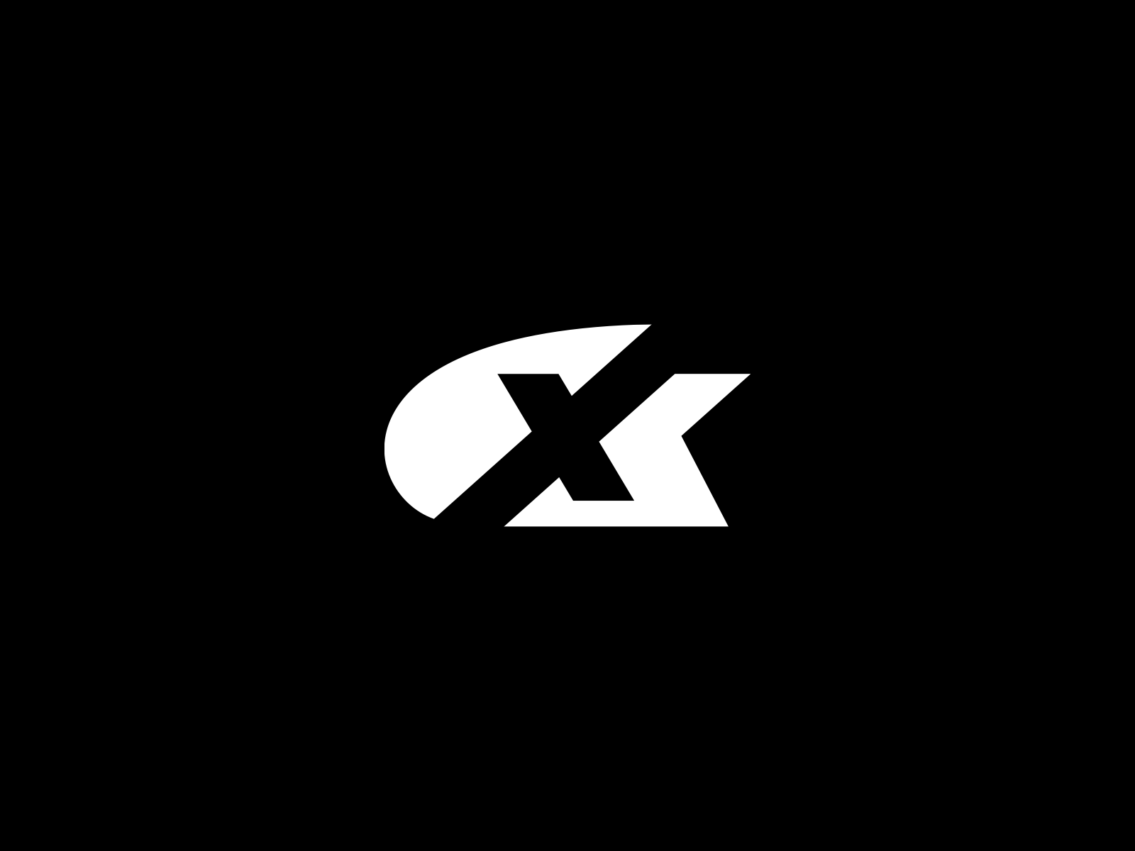 Example of Strategic Mark Development (Logo Design)