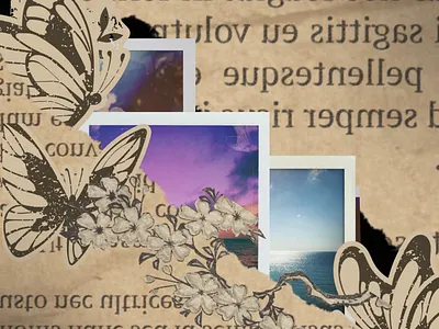 Vintage Book Motion Graphics motiongraphics