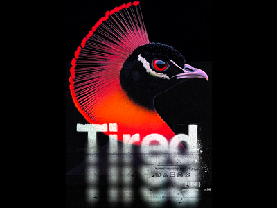 Next in trend (POSTERS) 3d animation app art artwork branding design fashion feedback graphic design icon illustration logo motion graphics photography trending typography ui ux vector