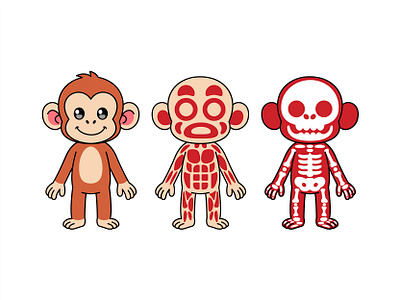 Cute Monkey Anatomy Illustration – Skin, Muscle, and Skeleton anatomy animal animal skeleton animal study anomali cartoon cartoon anatomy character cute illustration jaysx1 kid kids learning monkey vector