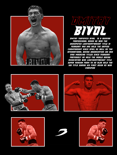 Dmitry Bivol. #graphicdesign #visualsbybf branding design graphic design illustration