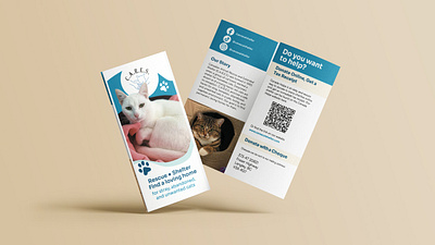 CARES Cat Shelter Brochure brochure graphic design print media