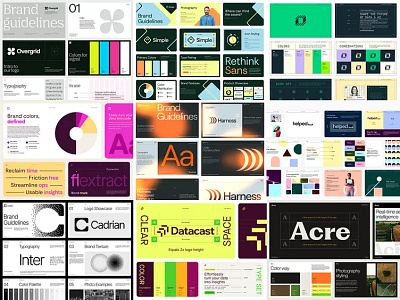 Brand Identity Designs bra branding design graphic design logo photoshop