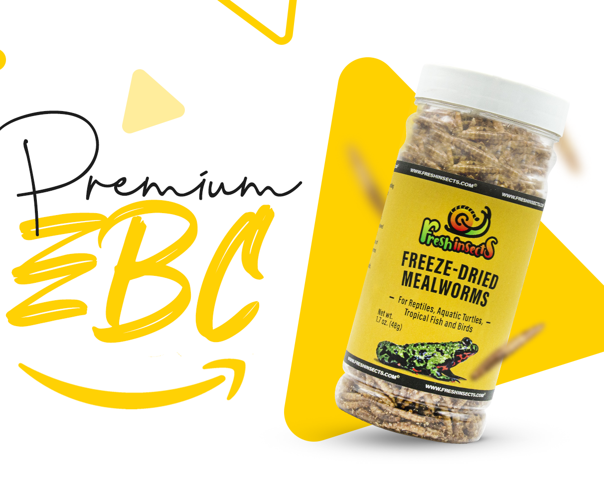 A+ CONTENT DESIGN | AMAZON a content a content design amazon a content amazon ebc amazon listing amazon listing design amazon product listing design ebc ebc design ecommerce image design enhanced brand content listing image design listing images product image design product infographic