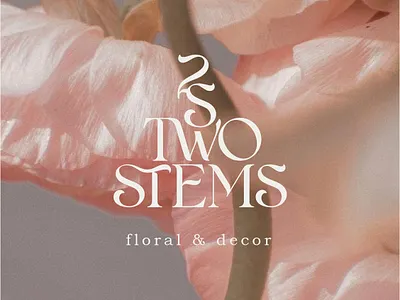 Two stems floral and decor. logo 2 logo 2stems aestetics logo aesthetics decor decor logo floral floral logo flowers flowers logo logo logo design logotype modern logo modern style stems two logo two stems