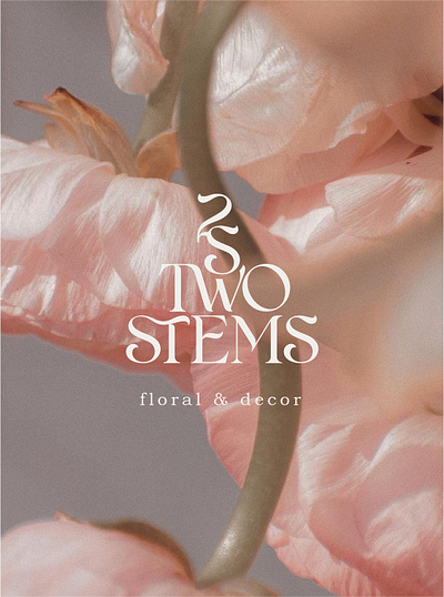 Two stems floral and decor. logo 2 logo 2stems aestetics logo aesthetics decor decor logo floral floral logo flowers flowers logo logo logo design logotype modern logo modern style stems two logo two stems
