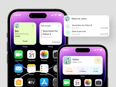 Pet Tag App - IOS widget version app apple clean concept design ios mobile pet pet tag tag ui widget widget design widgets