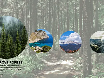 Presentation Motion Graphics motiongraphics