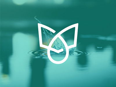 Book and Water Drop logo book drop fimbird logo logodesigner read sea water waterdrop