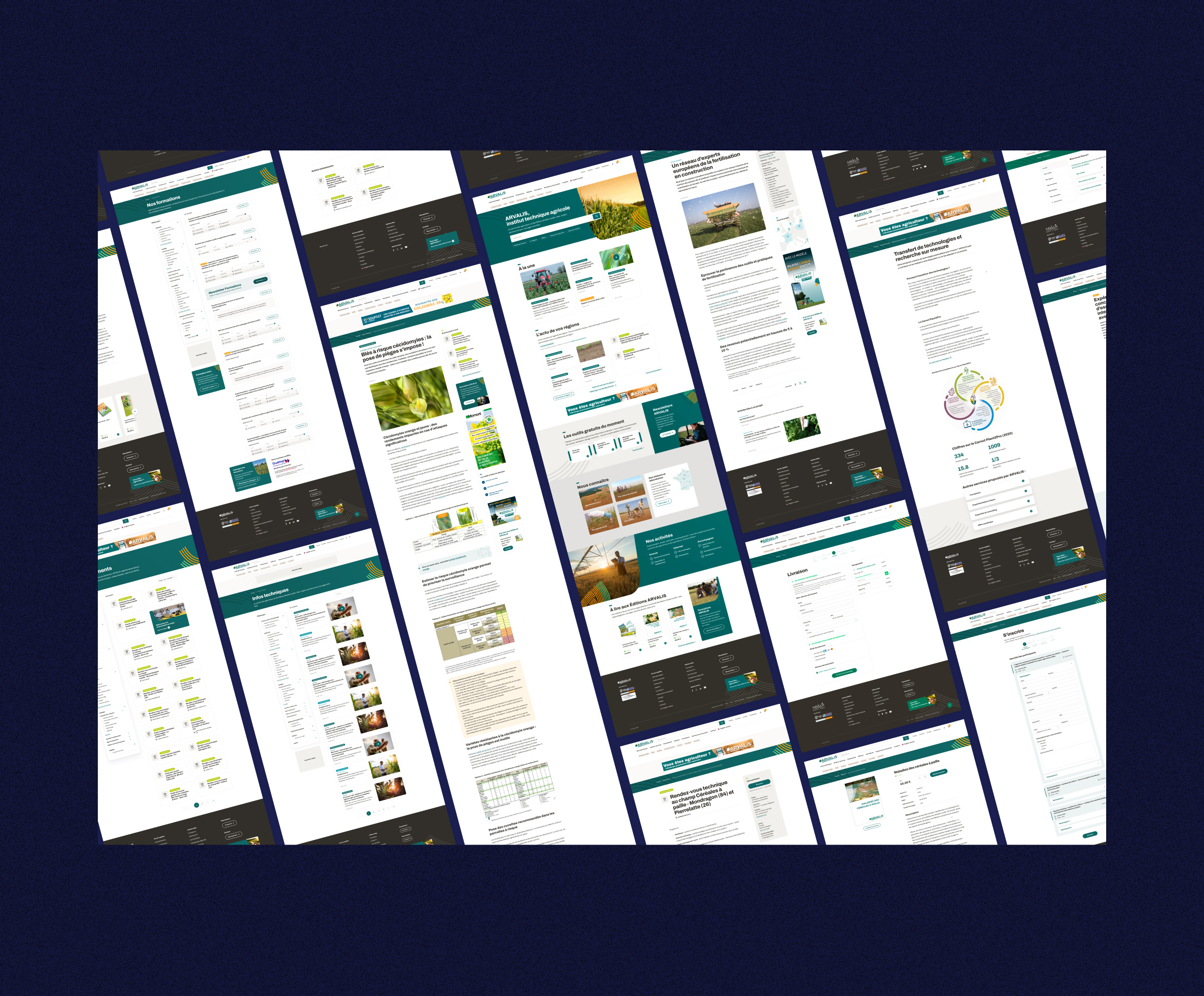 ARVALIS brand rejuvenation and new website Image 6