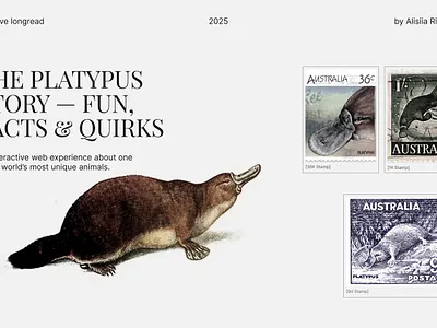 The Platypus Story — Fun, Facts & Quirks creative design interactive design landing page modern website responsive design storytelling ui design user experience web design website concept