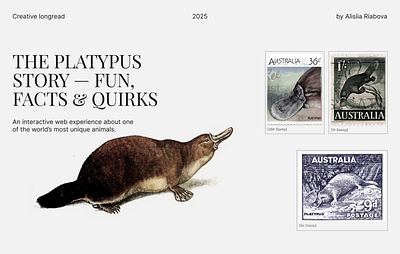 The Platypus Story — Fun, Facts & Quirks creative design interactive design landing page modern website responsive design storytelling ui design user experience web design website concept