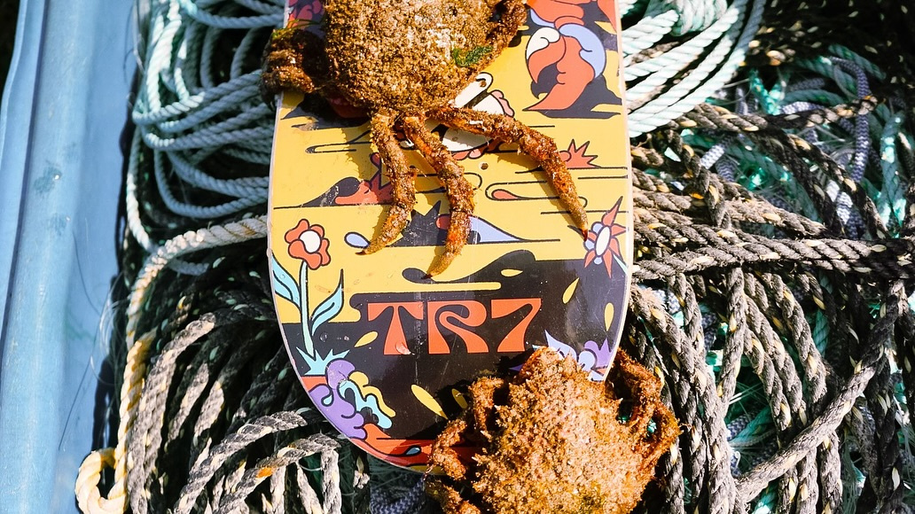 Psychedelic Crab Artwork Skateboard Deck – TR7 Skate Collaborati grind