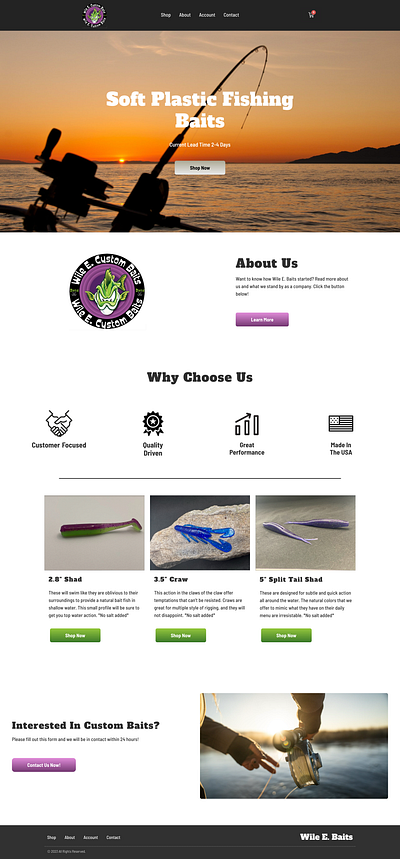 Wile E. Baits WooCommerce Website logo organization seo stripe integration woocommerce wordpress wordpress design