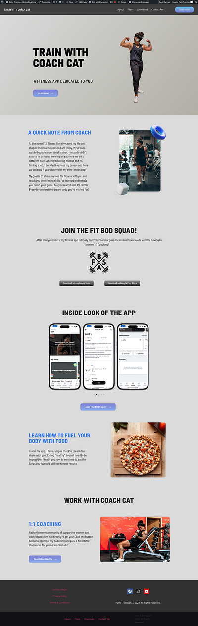 Palm Training LLC Website - Fitness App adobe illustrator application branding design graphic design logo organization seo wordpress