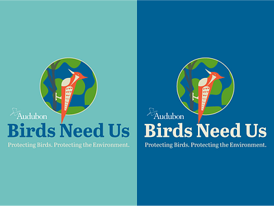 Logo Design for Audubon Society branding graphic design illustrator logo