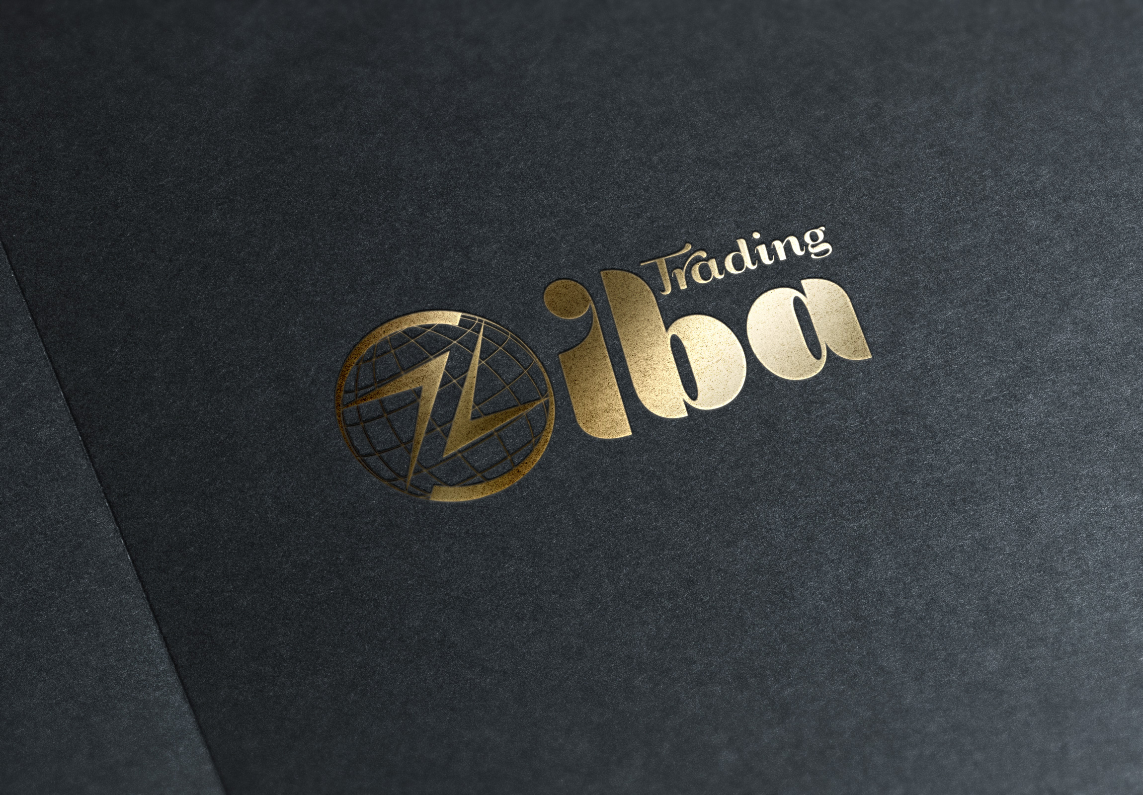 Ziba Trading Group | Logo Design branding business logo design freelance designer graphic design graphic designer logo logo design mixed logo design trading logo طراحی لوگو بازرگانی طراحی لوگو تجاری