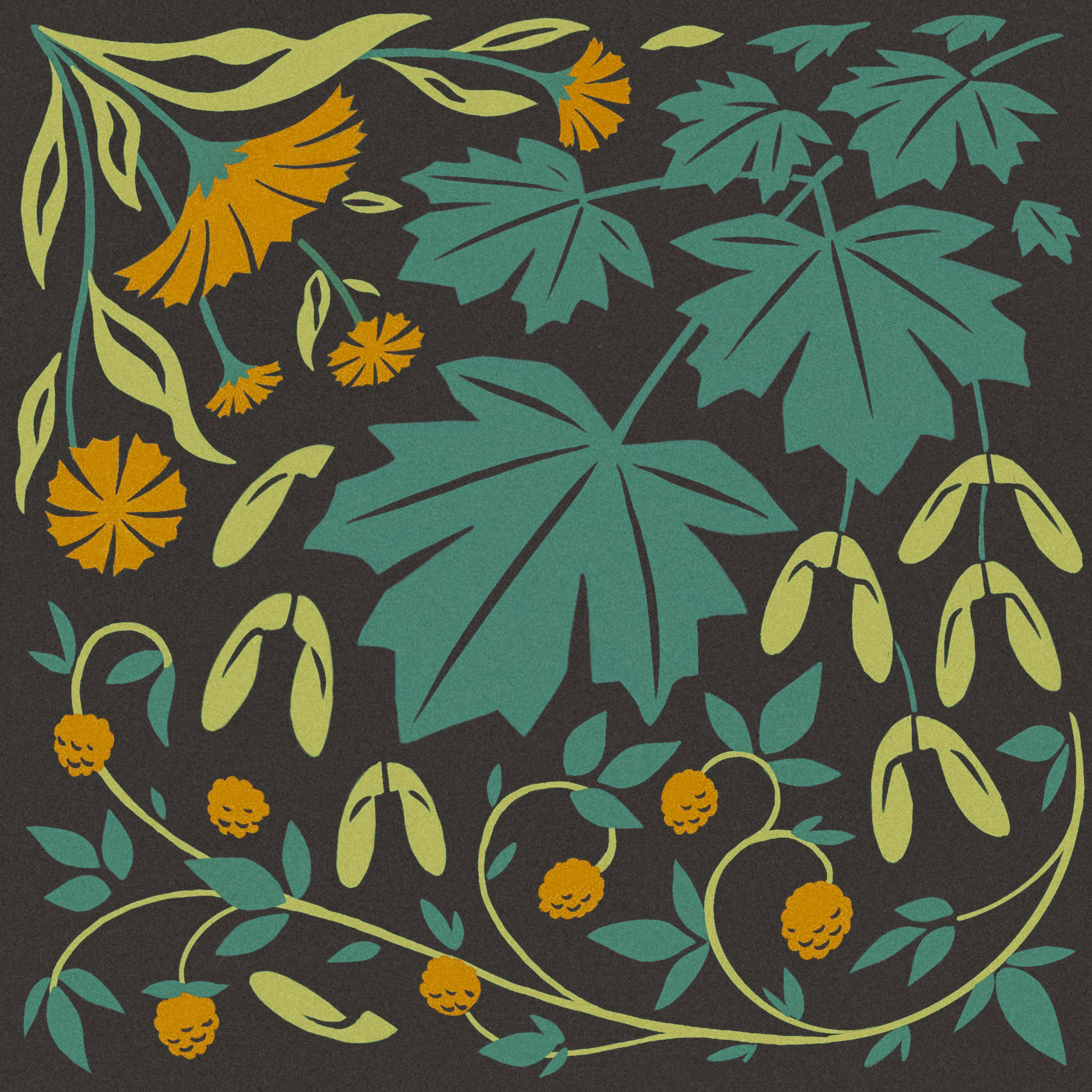 Pacific Northwest Tiles 2d bloom blossom design flower garden herb horticulture illustration leaves oregon organic plants pnw produce shrub spring vine washington