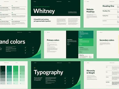 Bloom - Branding branding design graphic design illustration layout logo typography