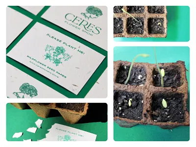 Ceres Flower Shop, Plantable Seed Paper cards branding business cards ceres flower shop flowers green logo plantable seed paper