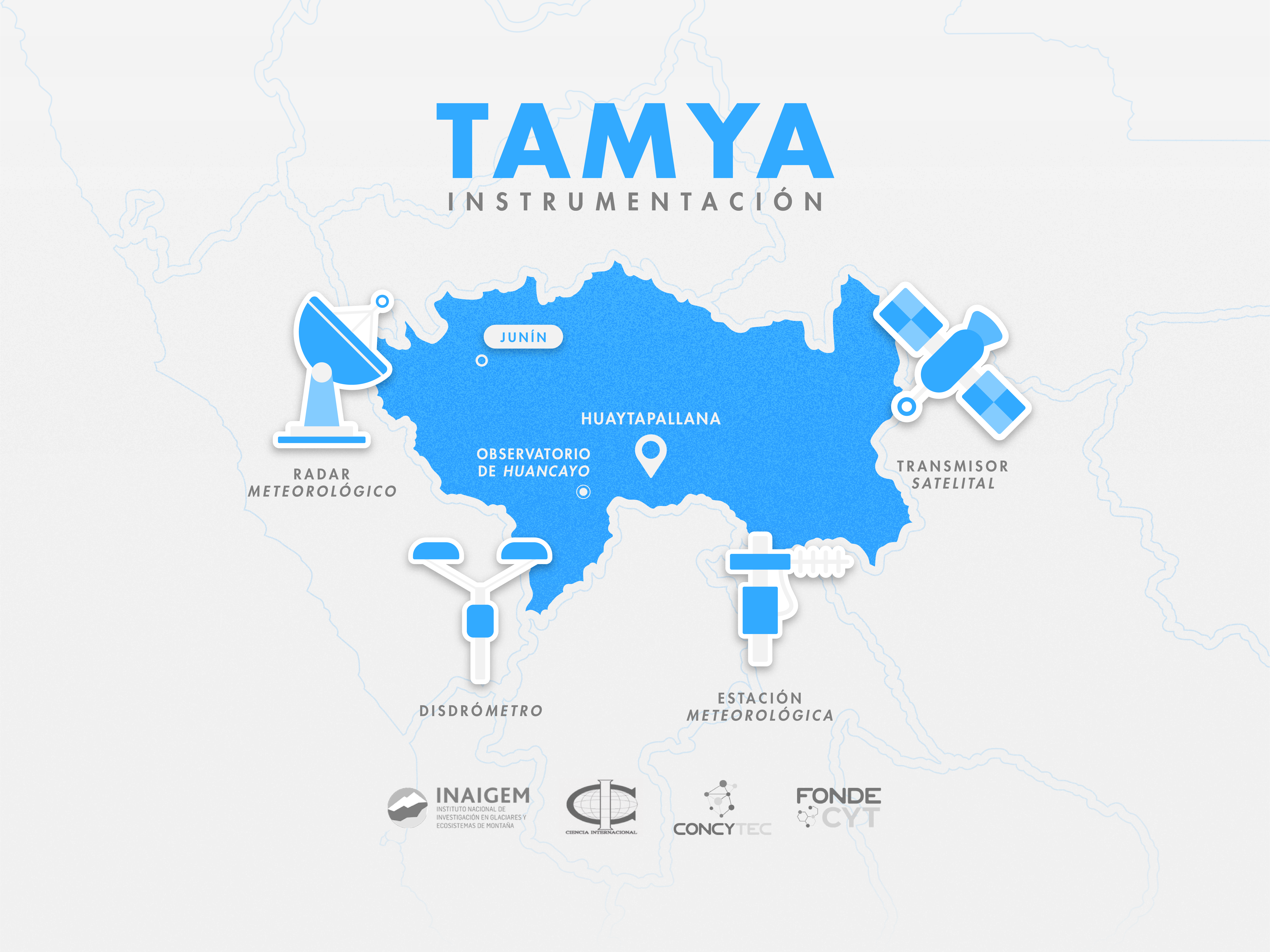 TAMYA ™ illustration typography
