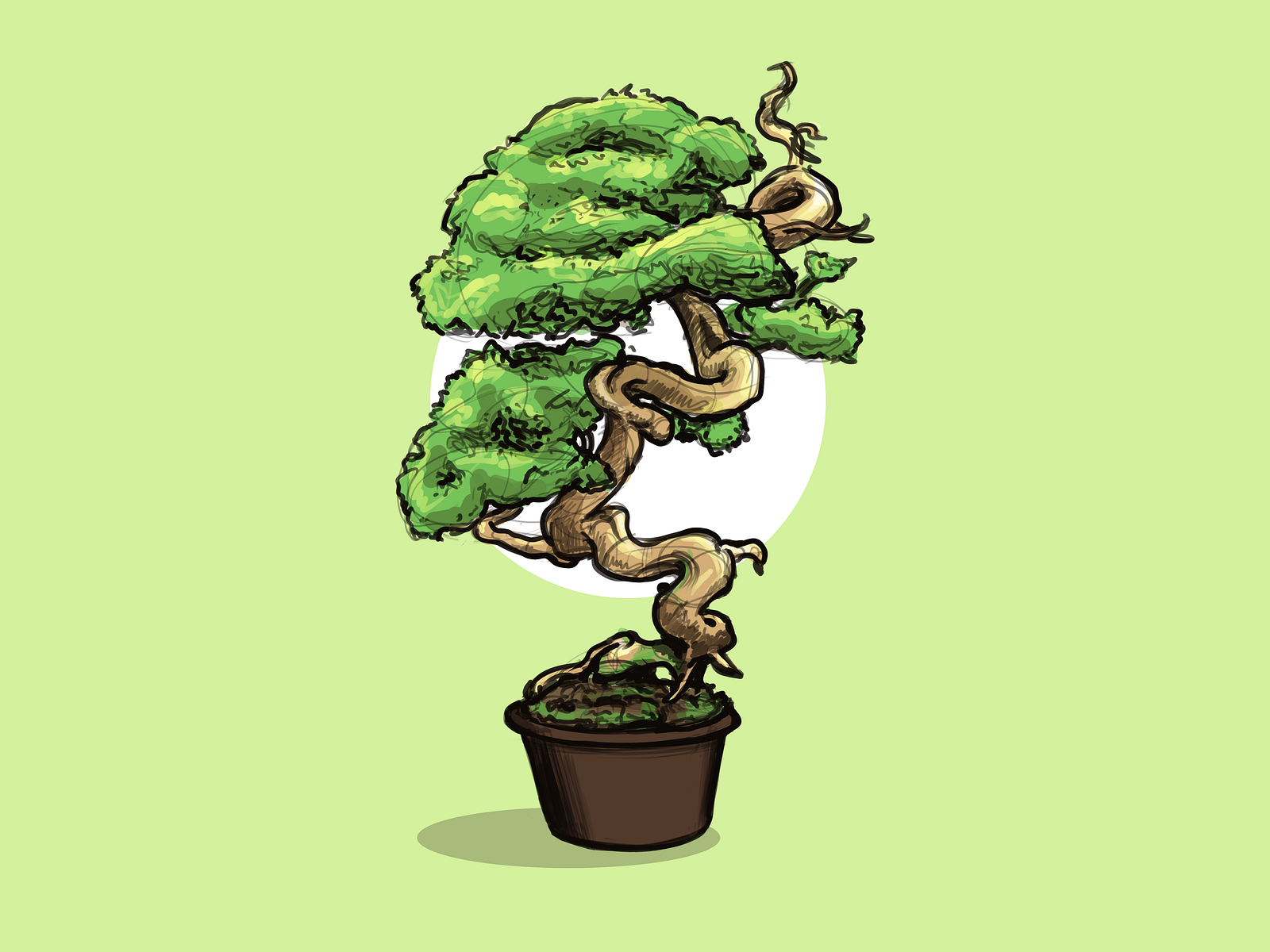 Bonsai by MEANDI on Dribbble