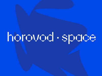 Horovod Space brand identity branding identity logo logotype typography
