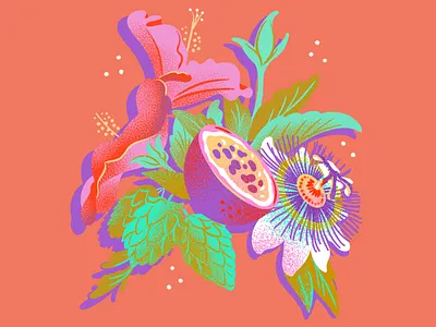 Mother Kombucha - Ingredient Illustration flower illustration food and beverage fruit fruit illustration hibiscus hops illustration jordan kay limited color passion flower passion fruit texture
