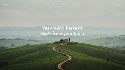 Canopy Hero Section branding design graphic design illustration inspiration logo minimal typography ui ux