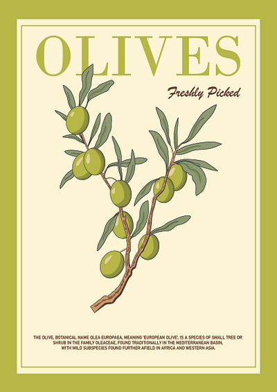 Vintage Illustrated Olive Poster bright design illustrated illustrator olives retro summer vibrant vintage