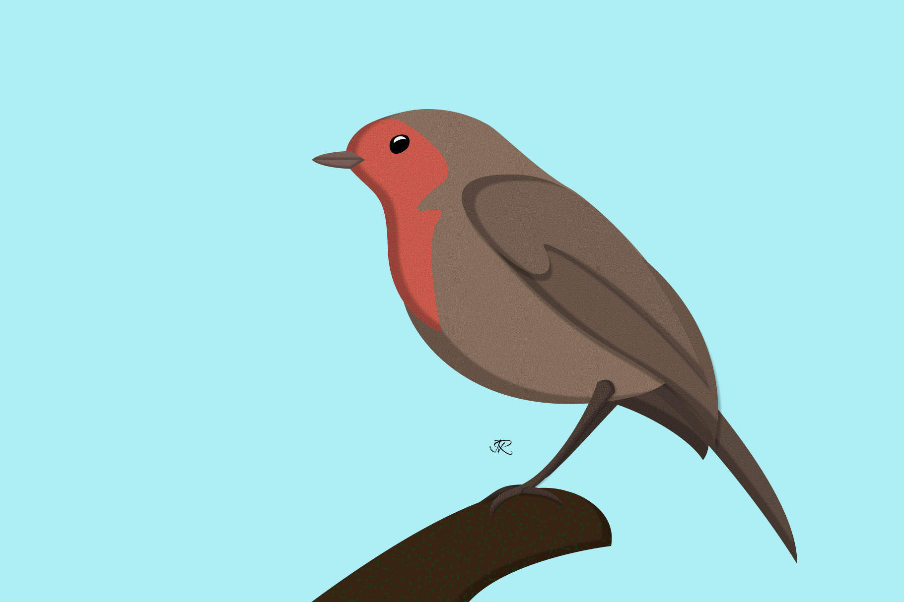 Robin bird bird illustration illustration robin robin illustration