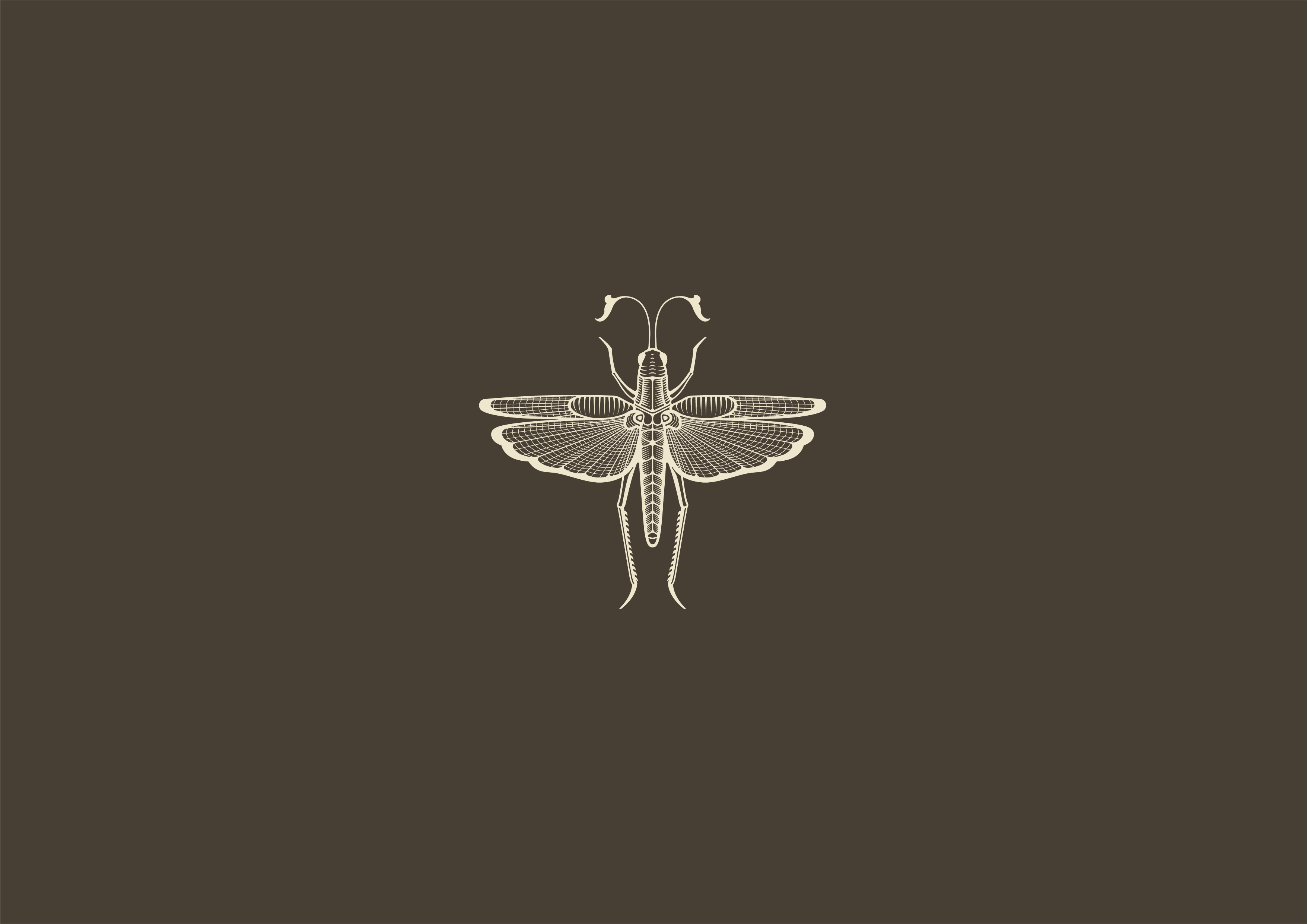 Luiza - Nut Butters branding business design graphic design grasshopper illustration insect libya locust logo