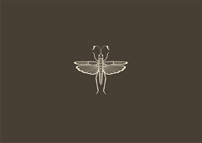 Luiza - Nut Butters branding business design graphic design grasshopper illustration insect libya locust logo