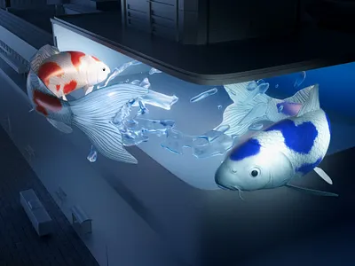 3D Koi Splash 3d concept design creative design graphic design